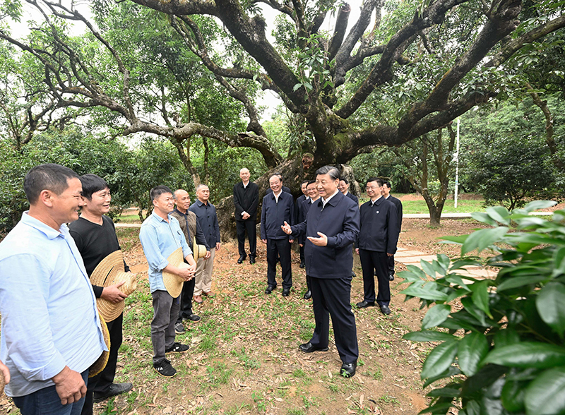 J9集团-国际站最新官网